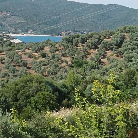 Art Hotel Panorama Pyrgadikia Bagian luar foto