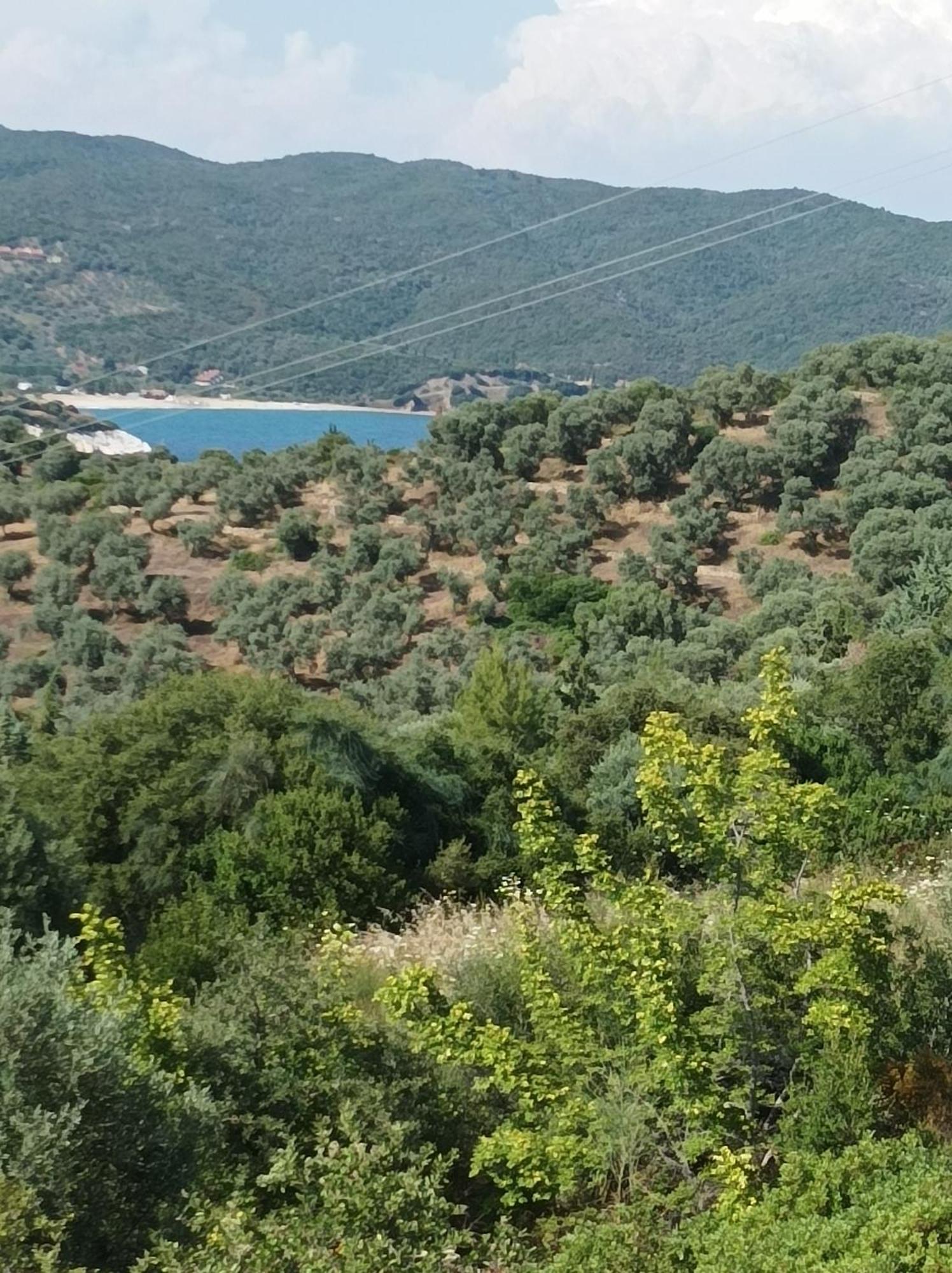 Art Hotel Panorama Pyrgadikia Bagian luar foto